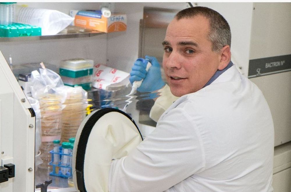 Professor Omry Koren, from Bar-Ilan University's Azrieli Faculty of Medicine, in Israel.