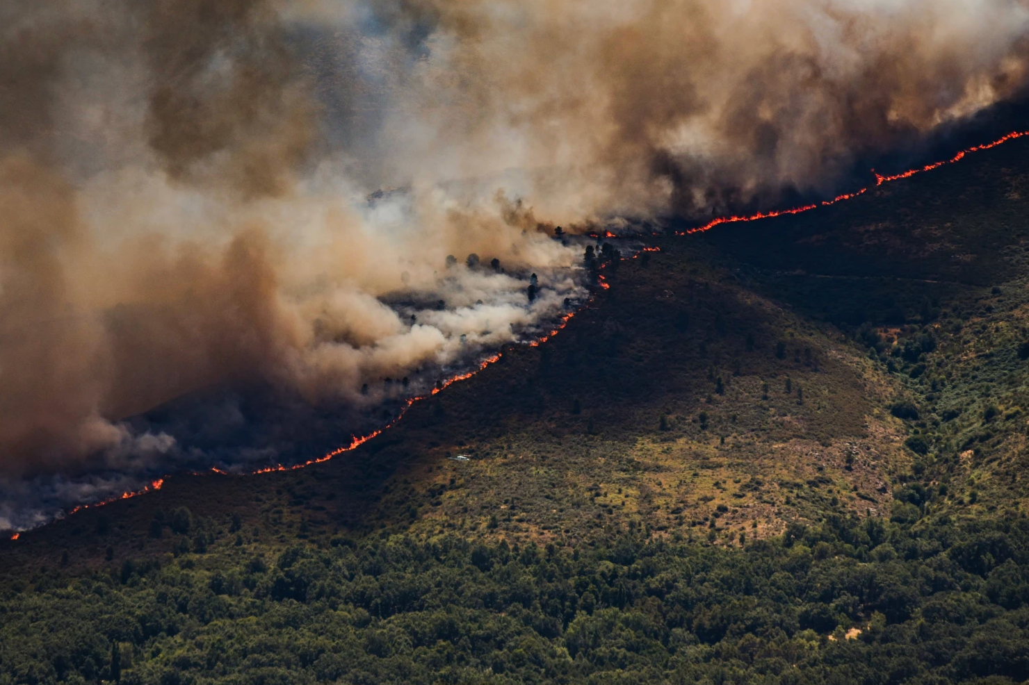 Incendies : plus de 200 000 personnes évacuées en France et en Espagne