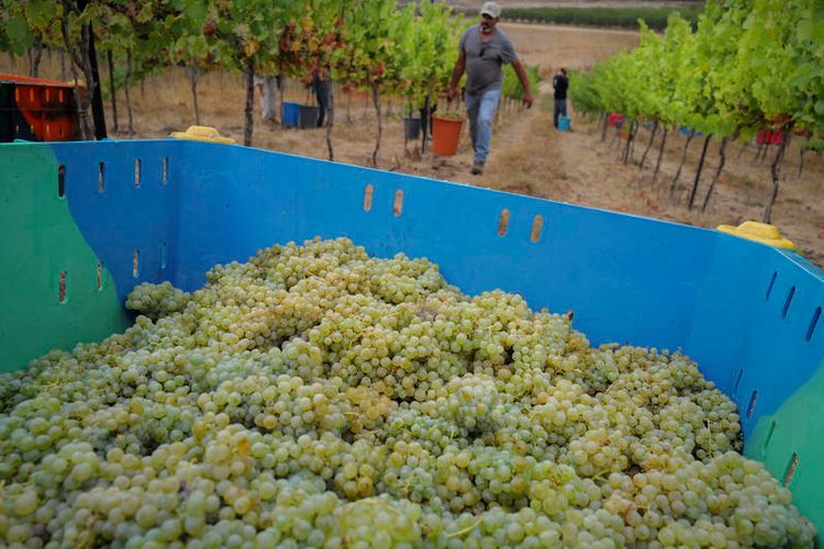 Michael Giladi/Flash90