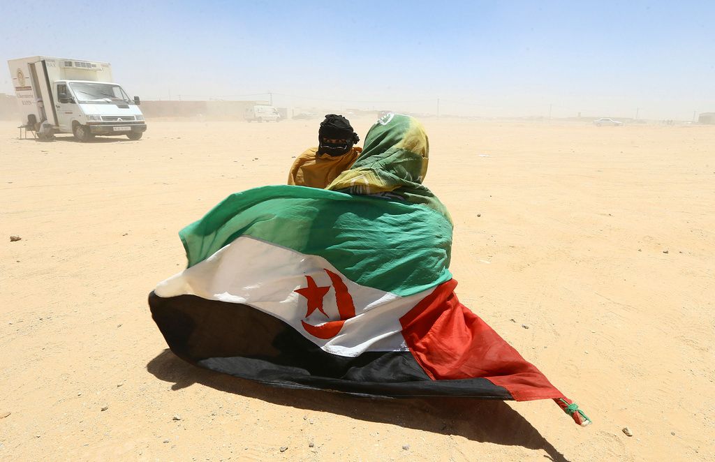 البوليساريو هل هي جبهة حرب أو جبهة تفاوض أم أداة دبلوماسية في يد الجزائر؟