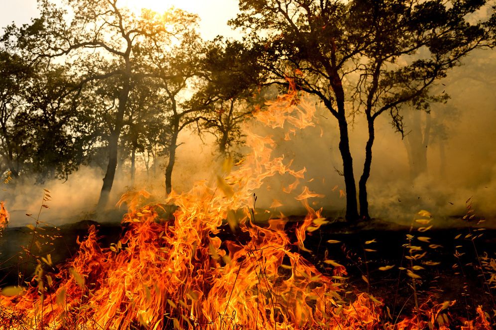 ASSOCIATED PRESS Incendie en Grèce