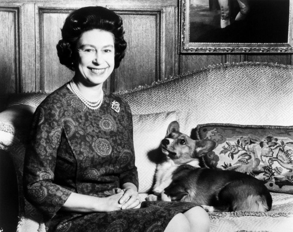 In this file photo taken on February 26, 1970 Queen Elizabeth II poses with her Corgis dog.