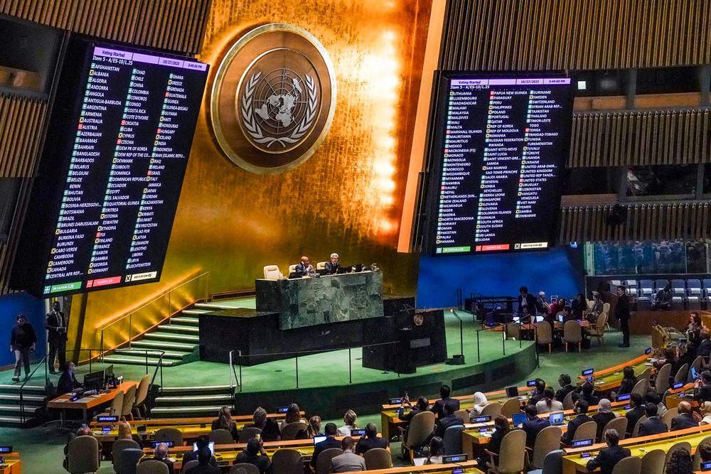 L'Assemblée générale de l'ONU