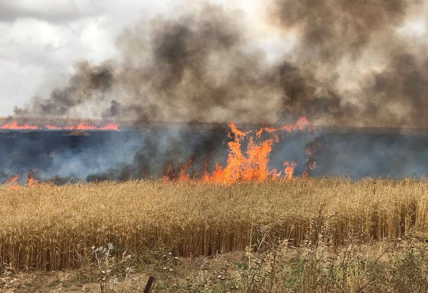 Les incendies provoqués par les ballons incendiaires près de la frontière avec Gaza le 22.05.2019