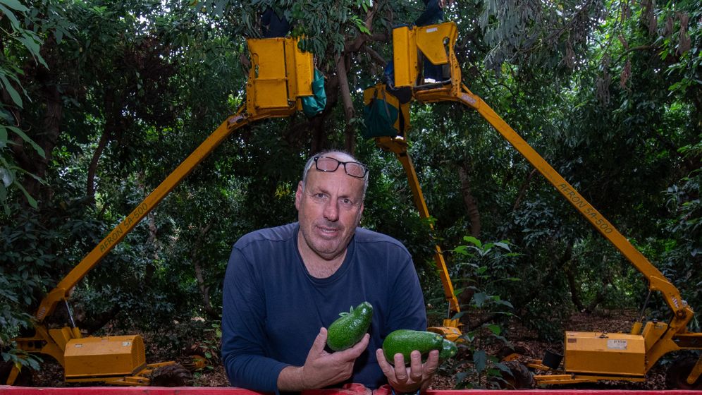 عوفر موسكوفيتش، أرشيف.