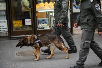 Israeli border policemen walk with their dog in central Jerusalem on December 18, 2015.
