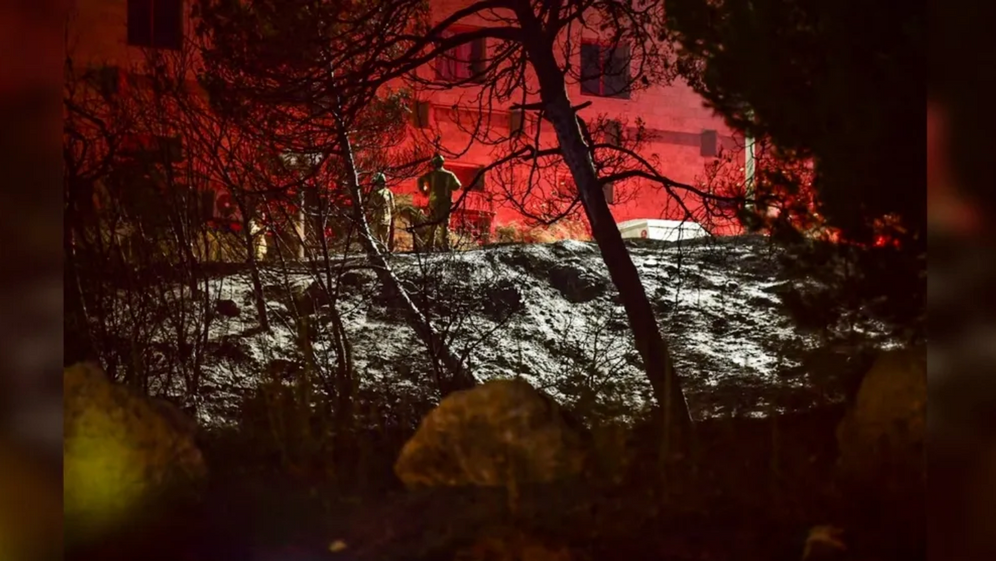Incendie de forêt sur le mont Scopus en juin 2024.
