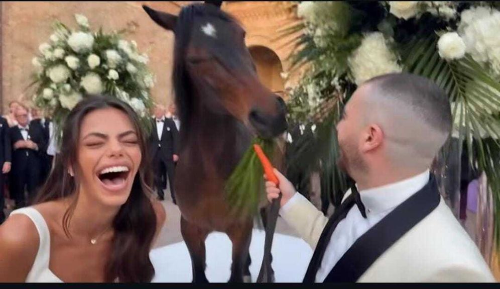סרטון הפארודיה על החתונה של עומר אדם וסשה שובר את הרשת
