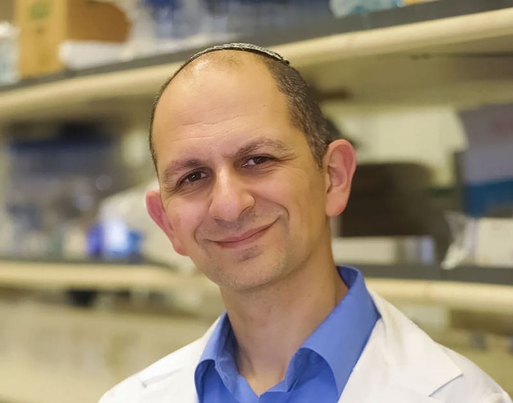 Le professeur Cyrille Cohen, directeur du laboratoire d'immunologie de l'Université Bar Ilan