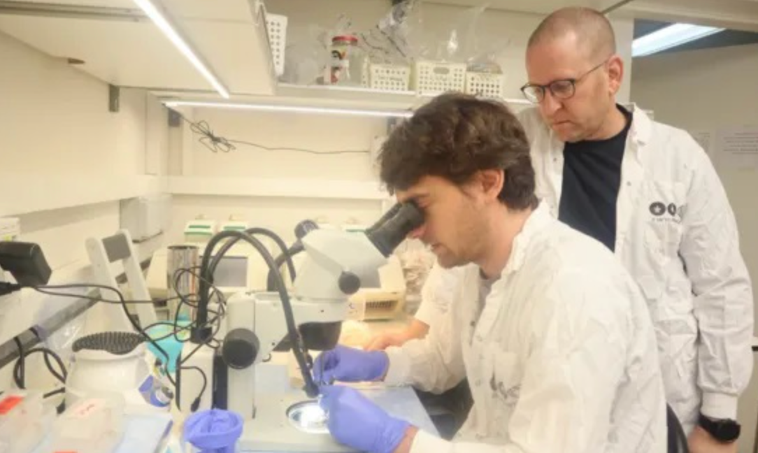 Israël : une découverte majeure ouvre la voie à de nouveaux traitements neurologiques