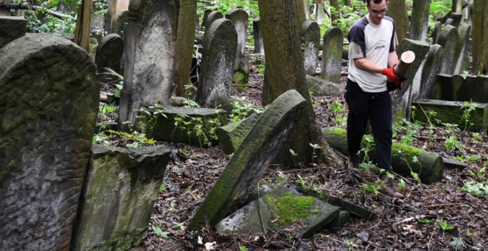 Un volontaire travaille au plus grand cimetière juif d'Europe à Varsovie le 22 août 2014, Image d'illustration