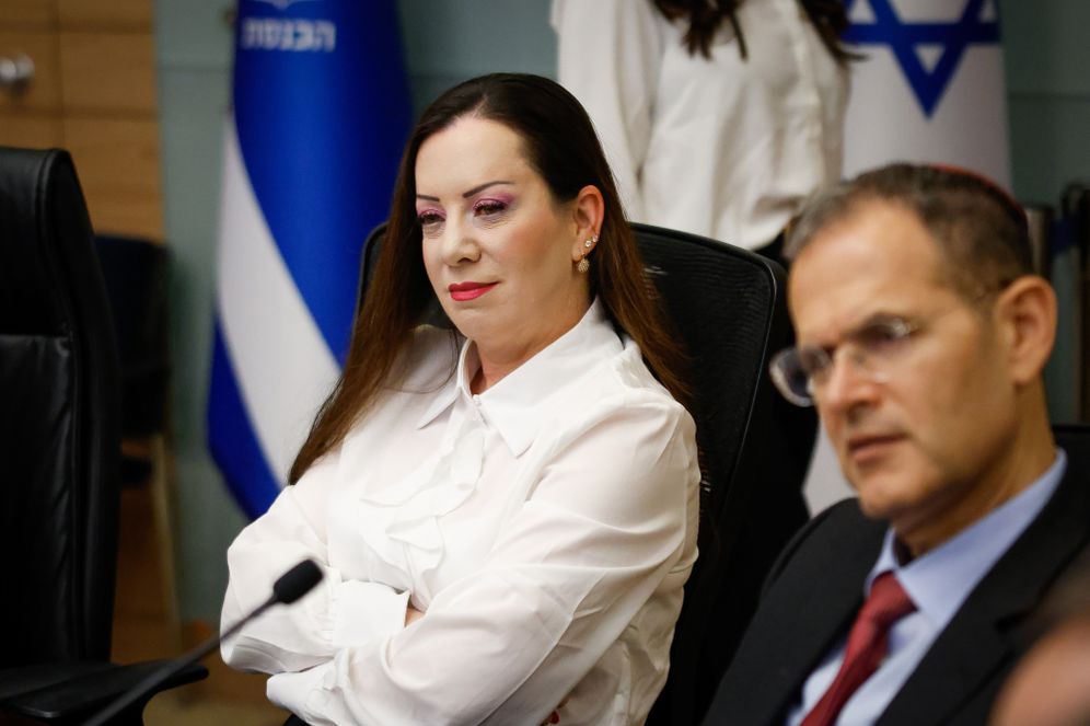 נועם מושקוביץ, דוברות הכנסת חברת הכנסת טלי גוטליב בדיוני הוועדה