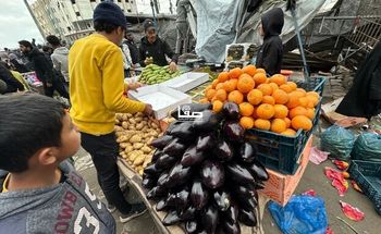 Illustration - Un étal de fruits et légumes à Gaza