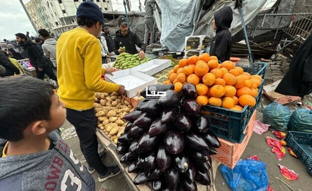 Illustration - Un étal de fruits et légumes à Gaza