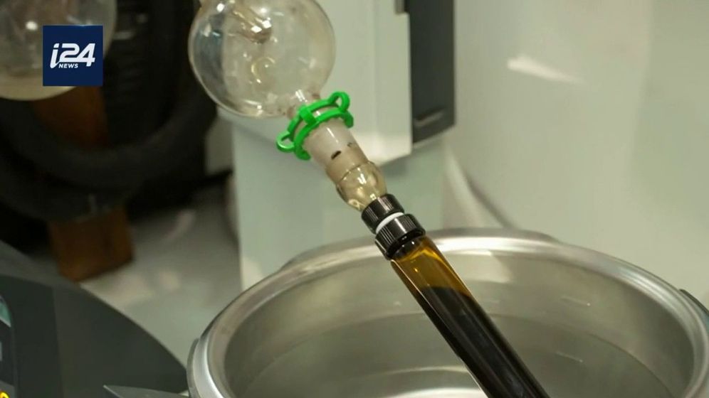 Chaque année, près de 20 millions de nouveaux cas de cancer sont diagnostiqués dans le monde