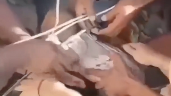 Séisme en Colombie : un bébé de trois mois retrouvé vivant sous les décombres
