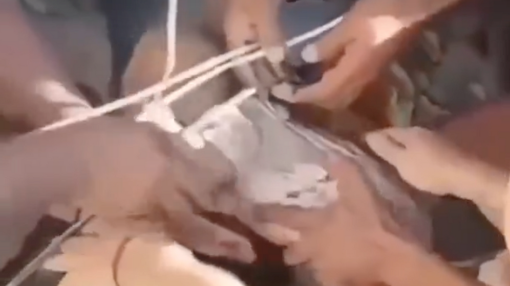 Capture d'écran réseaux sociaux Séisme en Colombie : un bébé de trois mois retrouvé vivant sous les décombres