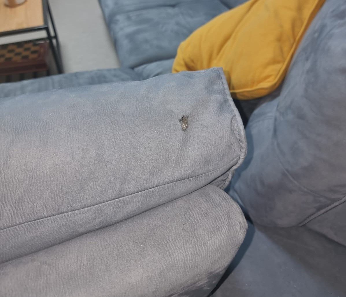 Family Home Damaged By Palestinian Gunfire In Northern Israeli Community - Vimarsana News