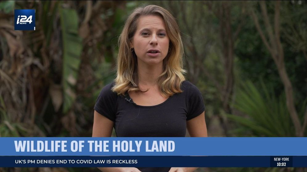 i24NEWS Correspondent Erica Jackson speaks from Jerusalem on February 20, 2022.