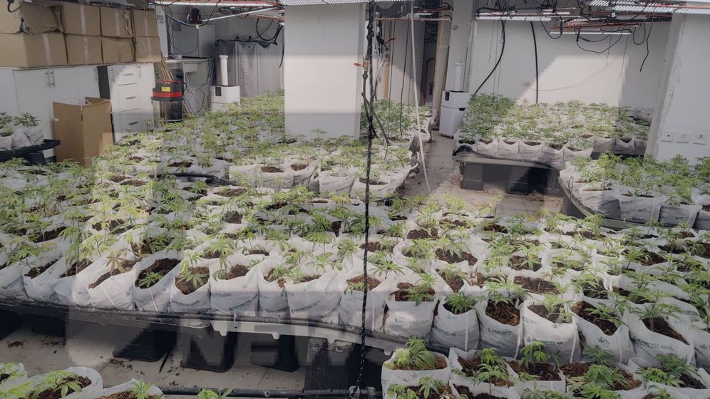 مختبر المخدرات في كفار سابا