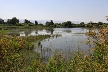 נחל חצבאני בימים טובים יותר, ארכיון הצפון מזג אוויר