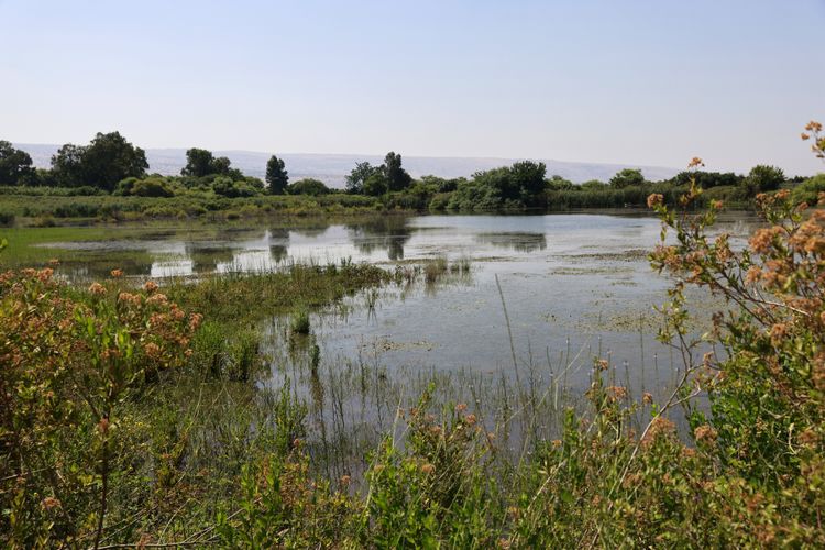 נחל חצבאני בימים טובים יותר, ארכיון הצפון מזג אוויר