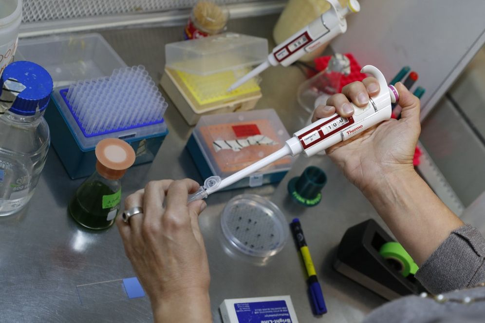Israeli researcher working at  Tel Aviv University's Department of Biomedical Engineering - June 11, 2020.
