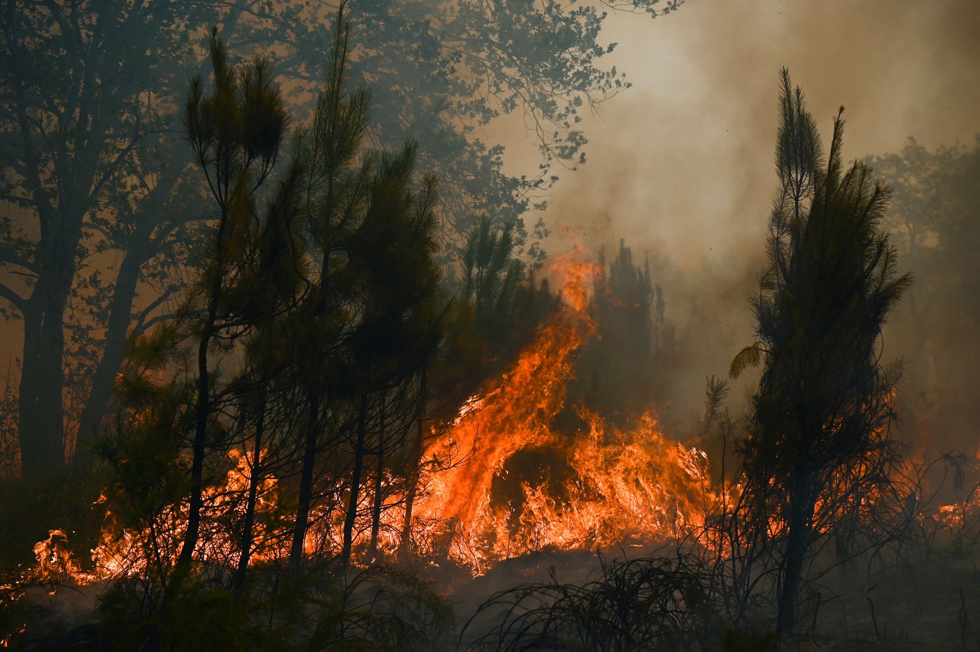 Incendies en Gironde : le feu reste stabilisé mais la hausse des températures inquiète