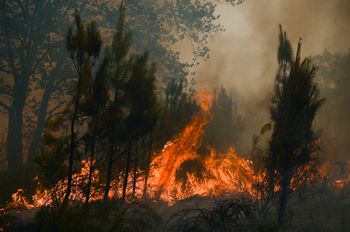 Flames rise at a forest fire near Louchats, 35 kms (22 miles) from Landiras in Gironde, southwestern France, Monday, July 18, 2022. France scrambled more water-bombing planes and hundreds more firefighters to combat spreading wildfires that were being fed Monday by hot swirling winds from a searing heat wave broiling much of Europe. With winds changing direction, authorities in southwestern France announced plans to evacuate more towns and move out 3,500 people at risk of finding themselves in the path of the raging flames. 
