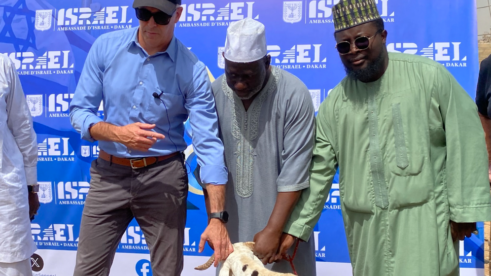 L’Ambassade d’Israël au Sénégal À l’occasion de la Tabaski, l’Ambassade d’Israël au Sénégal a distribué 78 moutons à des familles de Bambilor, tout en lançant un partenariat avec une ferme locale afin de soutenir durablement l’élevage ovin.