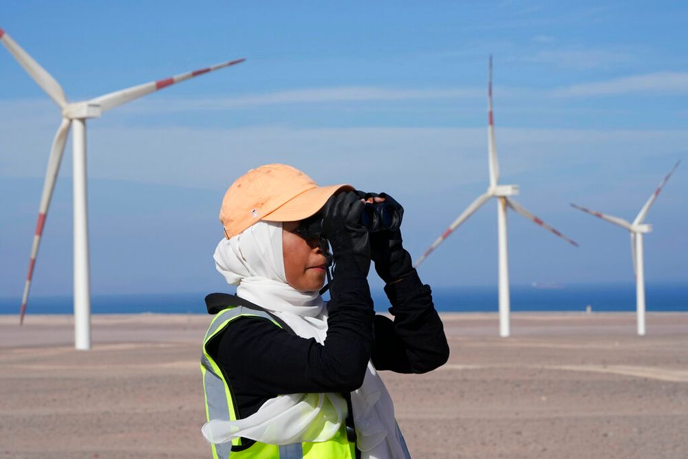 Omima Sayed looks out at the Lekela wind power station near the Red Sea city of Ras Ghareb, Egypt, on October 12, 2022.