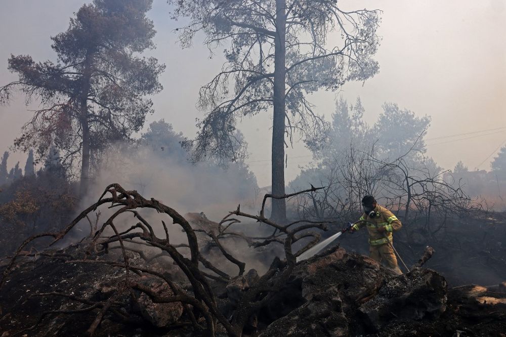 A firefighter extinguishes a forest fire near Kibbutz Maale Hahamisha in the Abu Ghosh village area, Israel.
