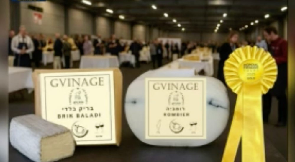 Israël brille au Mondial du Fromage : la fromagerie Gvinage remporte deux médailles d’or en France