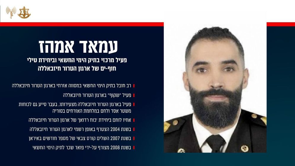 Hezbollah operative Imad Amhaz 