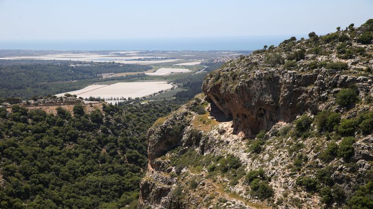 الجليل الأسفل - أرشيف