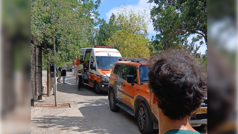 Un employé tué par un tigre au zoo biblique de Jérusalem, le 01.08.2025