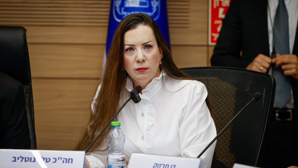 נועם מושקוביץ, דוברות הכנסת חברת הכנסת טלי גוטליב, ארכיון