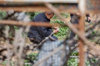 Police at the scene of a shooting in Rahat, southern Israel, March 15, 2022.