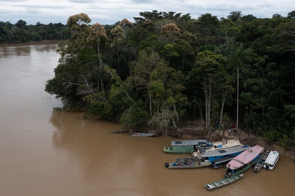 Members of the Union of Indigenous Peoples of the Javari Valley looking for clues that lead to the whereabouts of Dom Phillips and  Bruno Pereira, on the banks of the Itaguaí river in Vale do Javari, state of Amazonas, Brazil, on June 13, 2022.