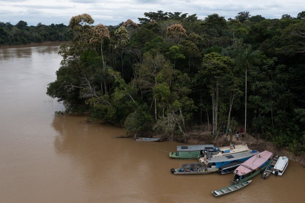 Members of the Union of Indigenous Peoples of the Javari Valley looking for clues that lead to the whereabouts of Dom Phillips and Bruno Pereira, on the banks of the Itaguaí river in Vale do Javari, state of Amazonas, Brazil, on June 13, 2022.