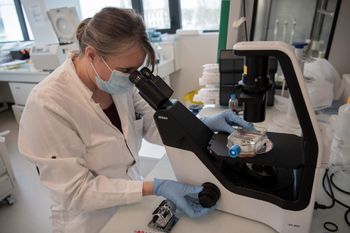 Une scientifique devant un microscope