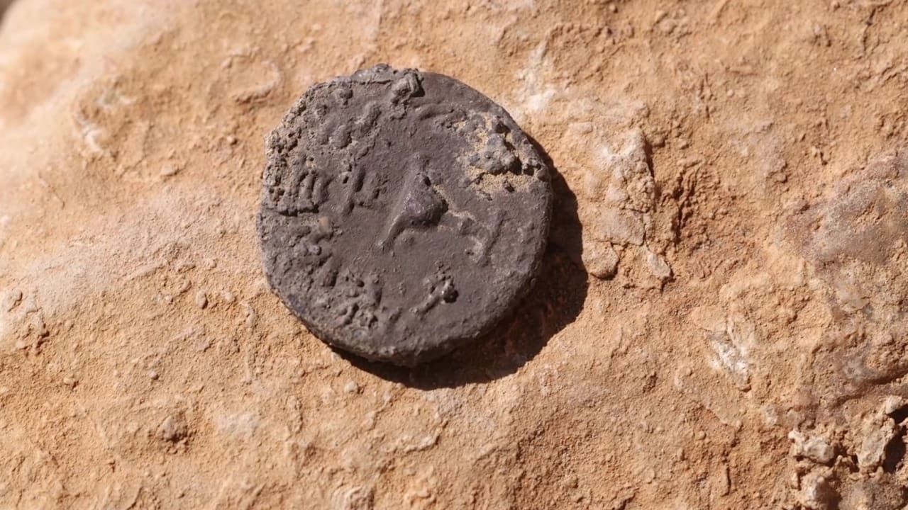 Archéologie : un demi-shekel vieux de 2 000 ans découvert dans le désert de Judée