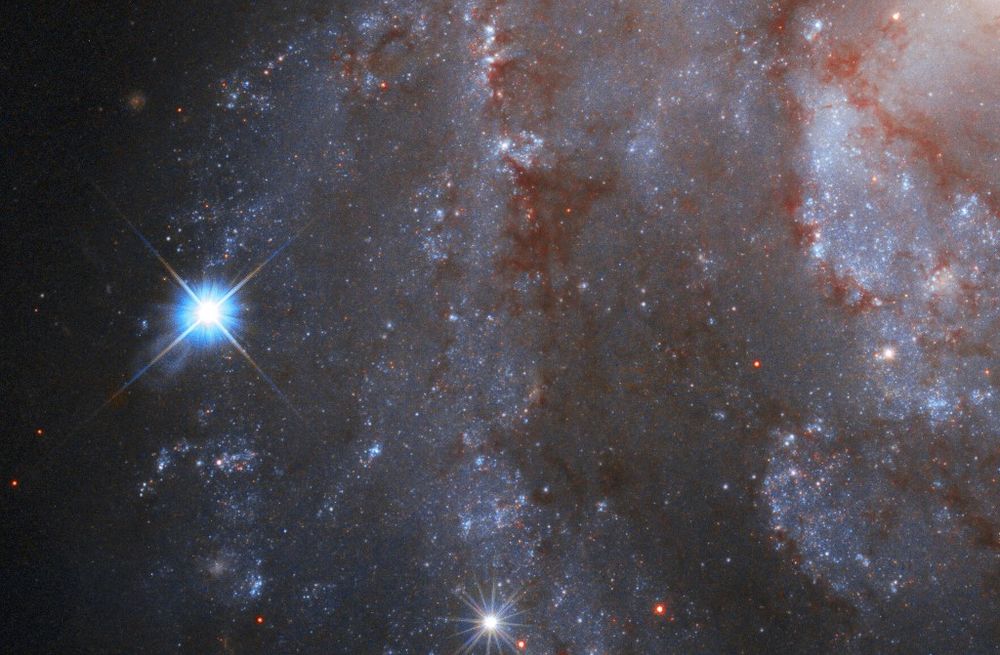Part of the galaxy NGC 2525 with, on the left, a brilliant supernova captured by the NASA/ESA Hubble Space Telescope, image released on October 1, 2020.