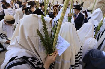 Des fidèles juifs prient devant le Mur des Lamentations, dans la vieille ville de Jérusalem, lors de la bénédiction des prêtres à Souccot, le 22 septembre 2021