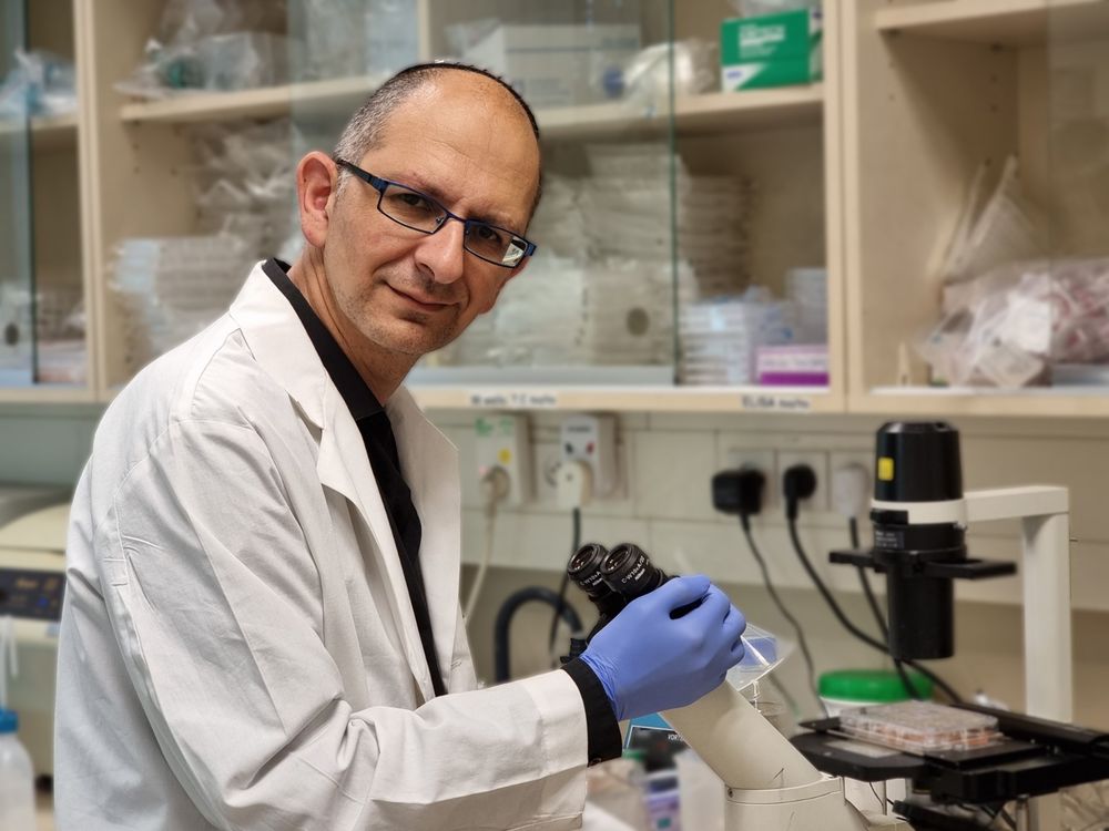 Le professeur Cyrille Cohen, directeur du département d'immunologie de l'université Bar Ilan