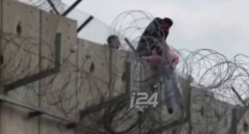 توثيق غير عادي: ربط فتاة بحبل - وإلقاءها من فوق السياج الفاصل