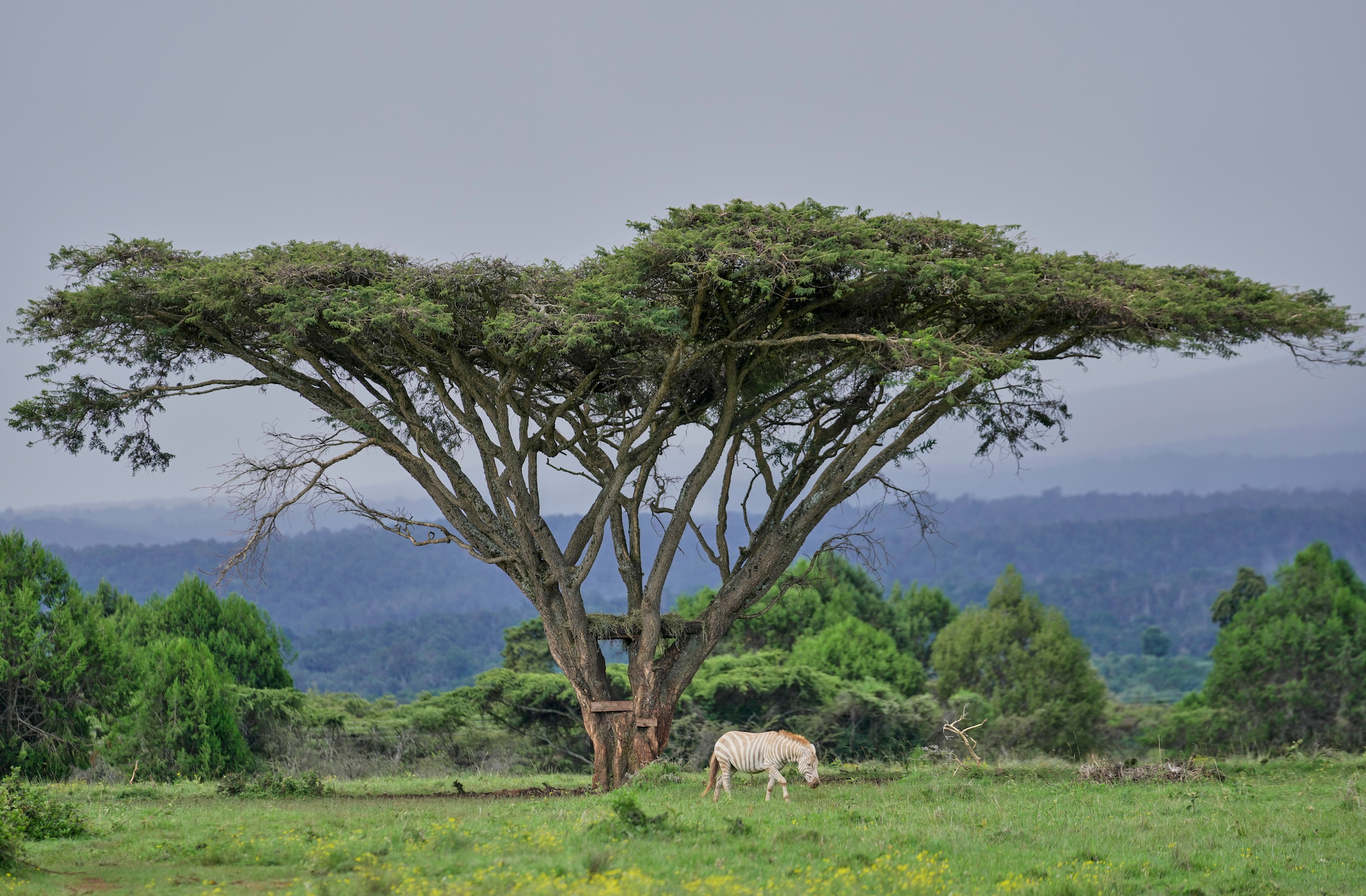 Israël exporte sa recherche climatique sur le terrain africain