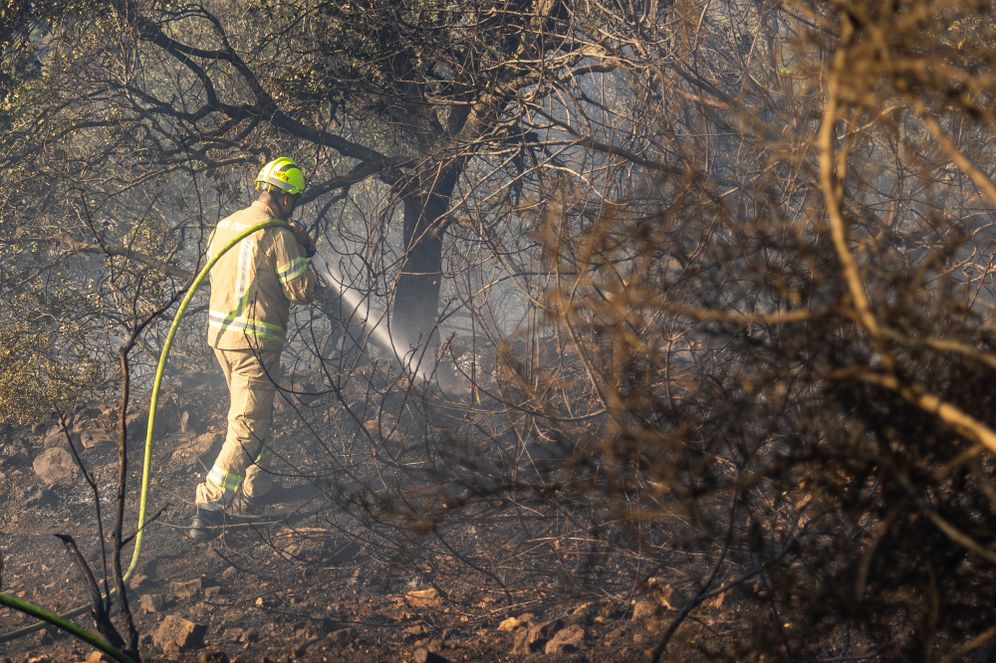 Firefighters try to extinguish a wildfire in Moshav Ksalon, August 2, 2026