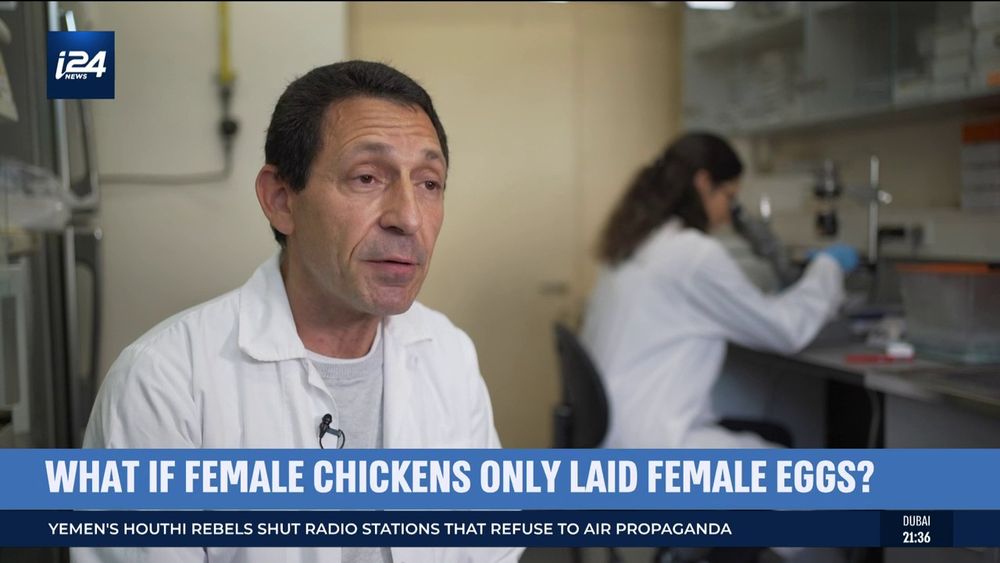 Dr. Yuval Cinnamon, founder and CSO of NRS Poultry, speaks with i24NEWS in Israel on January 31, 2022.