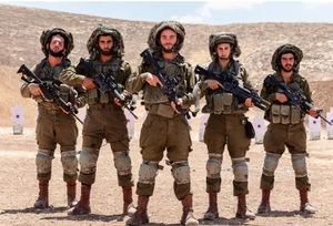 Sweat à Capuche IDF Israel Defense Forces - Tzahal - Cadeau Pour Soutenir Les Soldats Israéliens